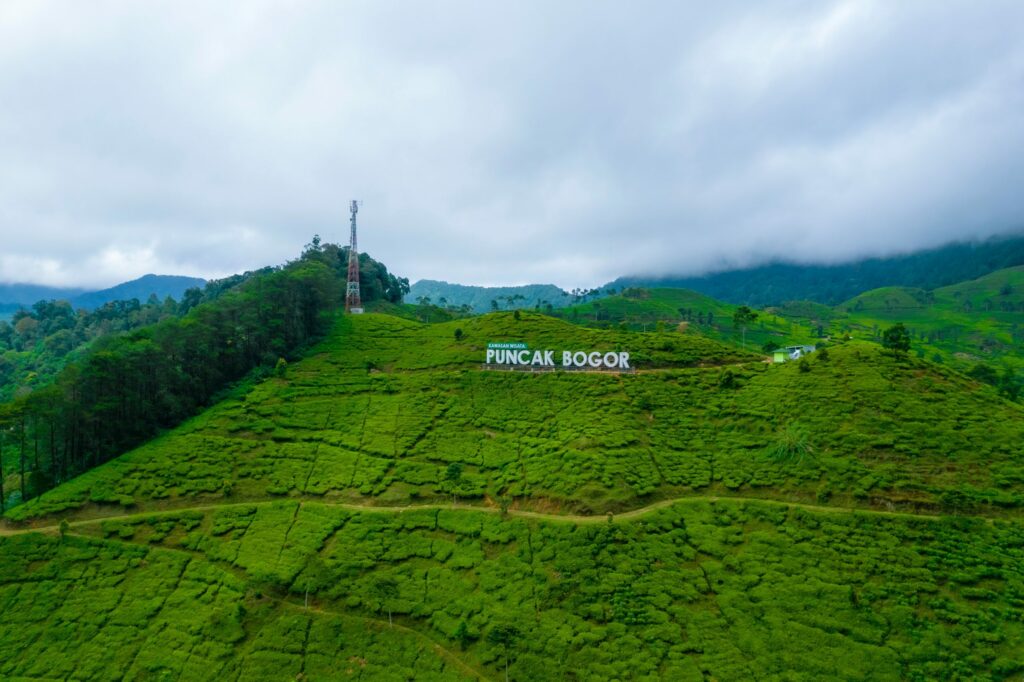 Rekomendasi Liburan Keluarga di Puncak Bogor